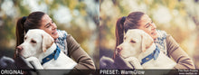 Laden Sie das Bild in den Galerie-Viewer, MEGA PRESET BUNDLE